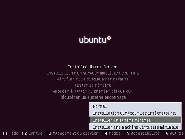 Options d'Ubuntu server