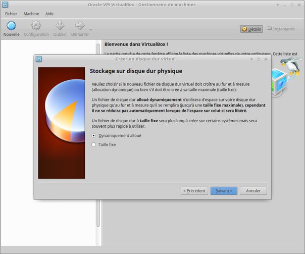 Disque virtuel dynamique